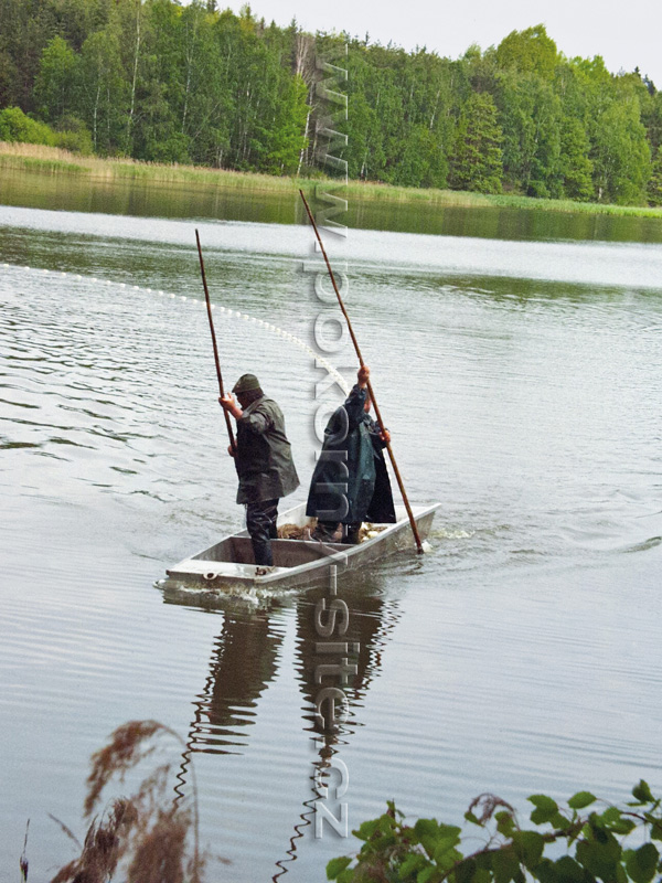 POKORNÝ - SÍTĚ, Nets Enterprise