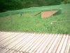Aviary nets 3