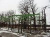 Aviary nets 18