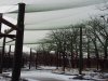 Aviary nets 19