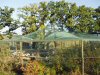 Aviary nets 27