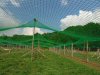 Aviary nets 30